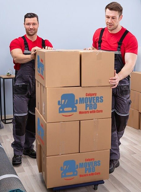 Our moving crew carefully loads boxes with clients' belongings to safely relocate them to a new home.